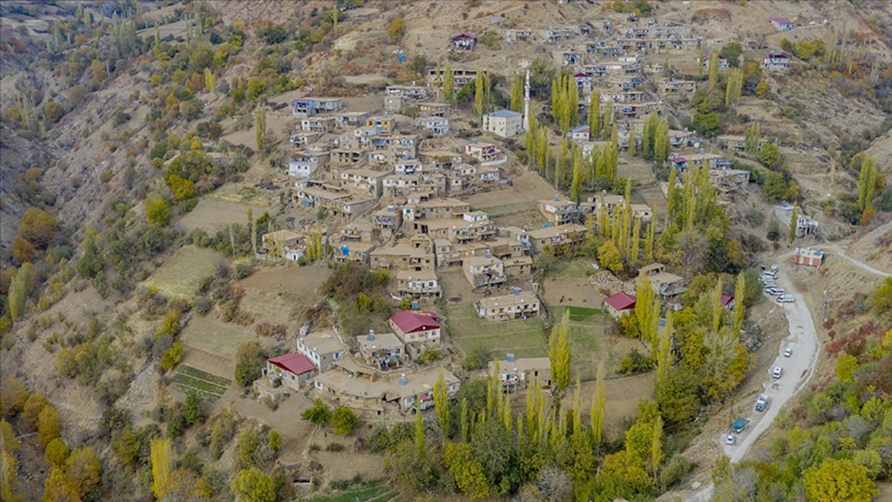 Çüngüş Nakliyat 